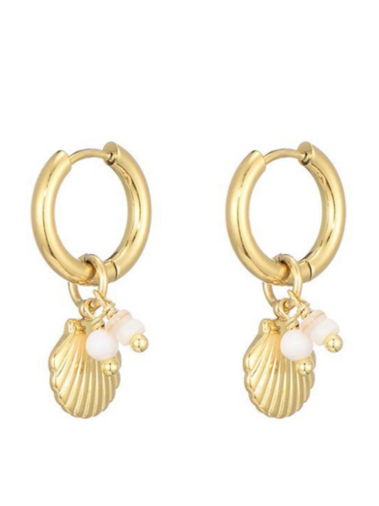 Earrings Shell